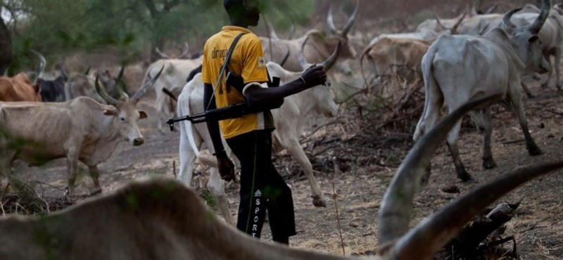 Herdsmen murder Labour Party Chairman in Benue