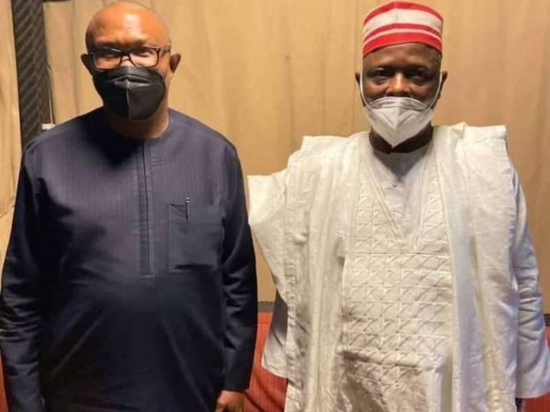 NNPP: Rabiu Kwankwaso may agree to be Peter Obi’s running mate