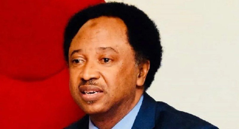Why food security is impossible for Nigeria – Shehu Sani