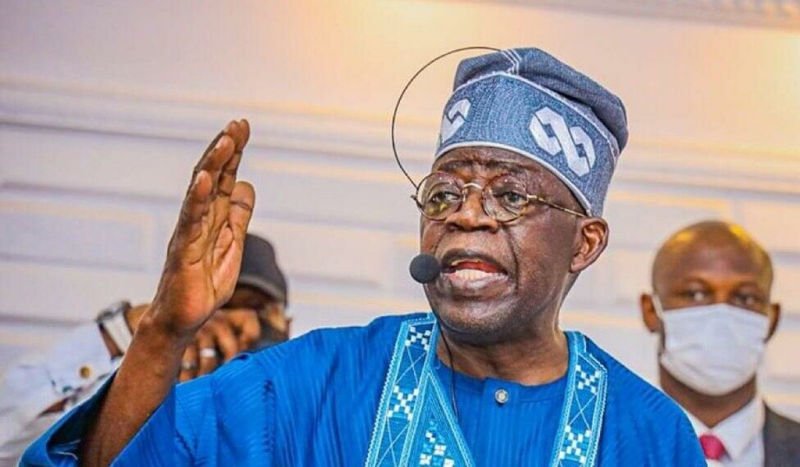 2023: Tinubu tags PDP, party of “termites”, can never return to power