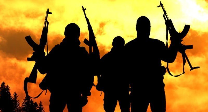 Gunmen in Plateau State kill 35 cows and the herder.