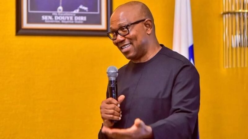 Peter Obi swipes at Tinubu, says “No serious leader will go on rest”