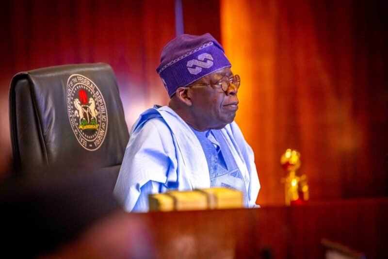 Tinubu signs Nigeria Data Protection Bill, 2023 into law