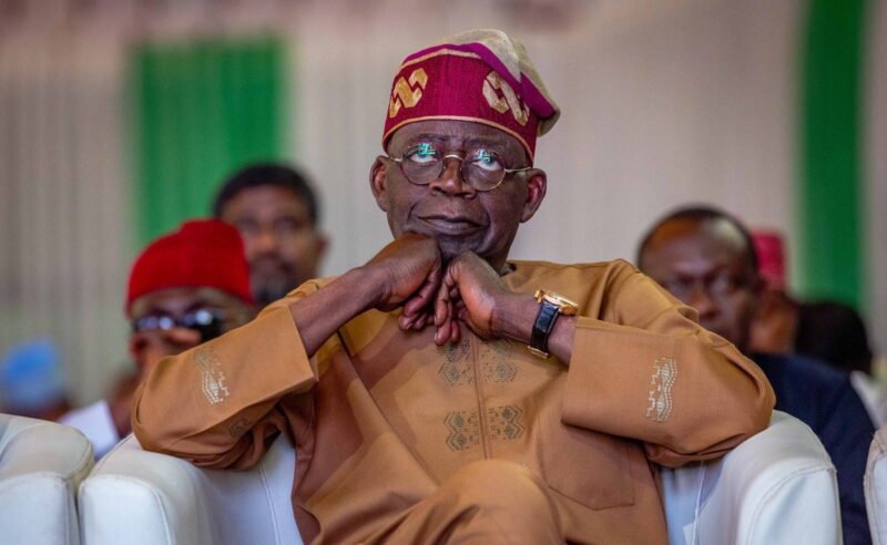 Ohanaeze Ndigbo Calls For Calm And Patience  Amidst President  Tinubu’s Certificate Saga