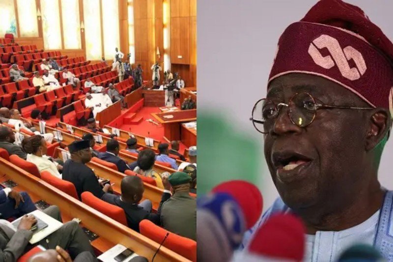 Tinubu’s bid to send troops to Niger is denied by the Senate