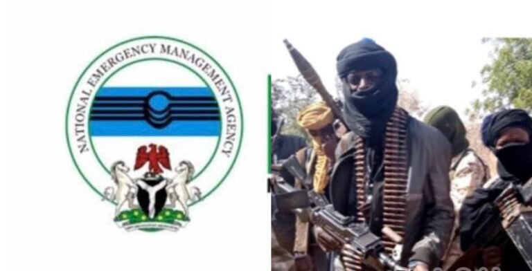 NEMA Provides Aid to Victims of Bandit Attack in Kaduna