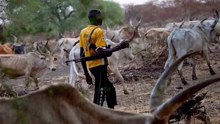 Benue community reportedly attacked by suspected herdsmen, killing newly-wed soldier, others.