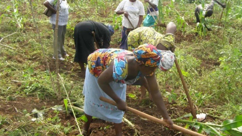 Food costs are high due to extortion and poor roads, according to C’River farmers