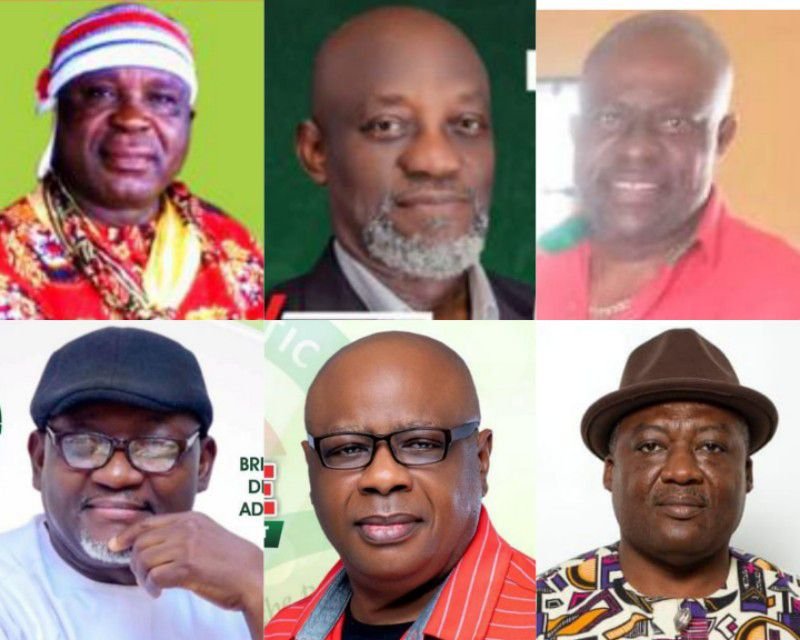 ANYA sends strong message to Abia PDP as they elect&nbsp; new chairman