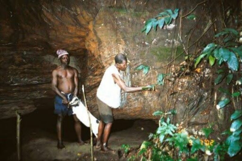 Unveiling Ohafia’s Historical Heritage and Significance of Ohafia War Dance