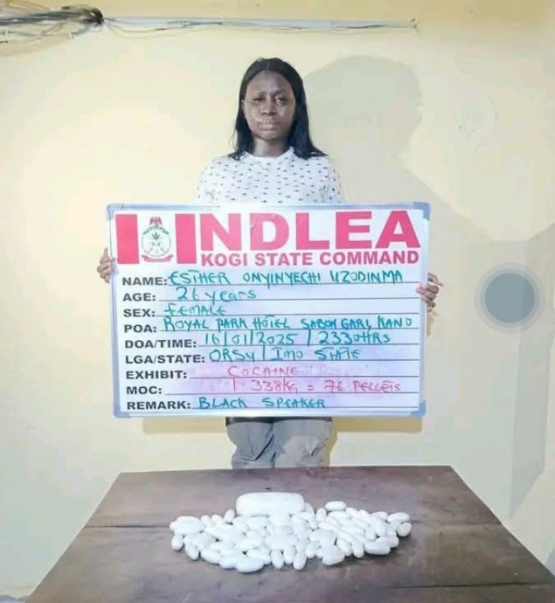 Nigerian Nursing Student Arrested in Kano for Attempting to Smuggle Cocaine Worth $5,000