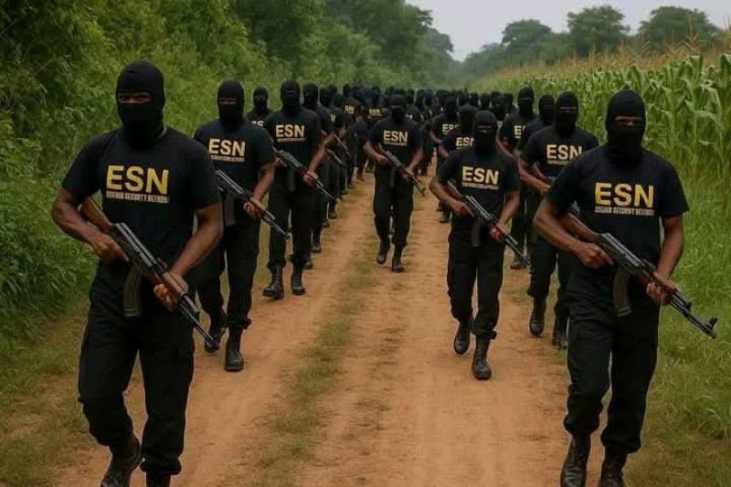 ESN, The Disciplinary Virtue Of Africa’s Most Trailblazing Homeland Defenders