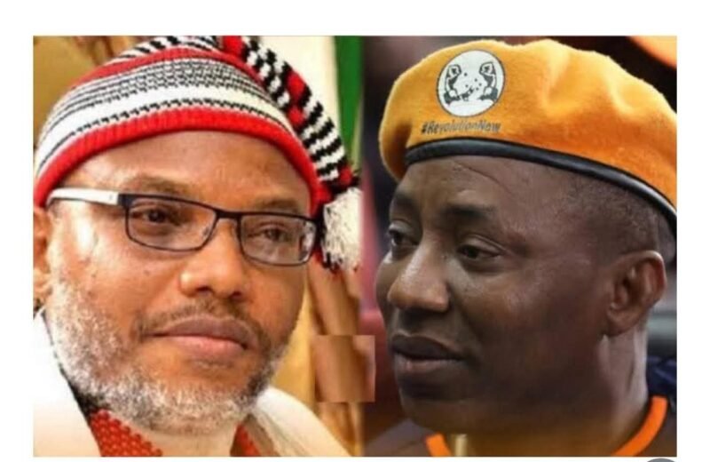 Nnamdi Kanu: Ohanaeze Ndigbo Joint Release: Rejects Sowore, Atiku Planned Protest.