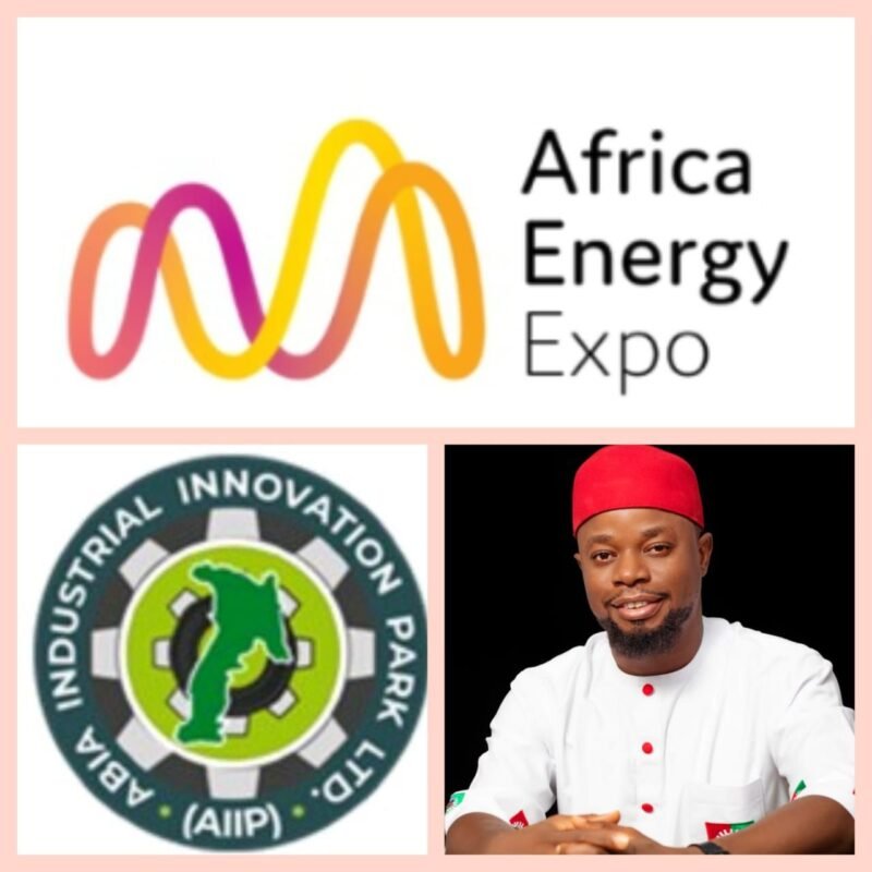Abia Shines: AIIP to Take Centre Stage at Kigali Energy Summit as Engr. Onyeizu Lead the Charge