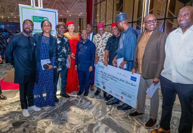 Abia Tops Southeast States In NGF Primary Healthcare Leadership Challenge; Wins USD500,000 Prize.