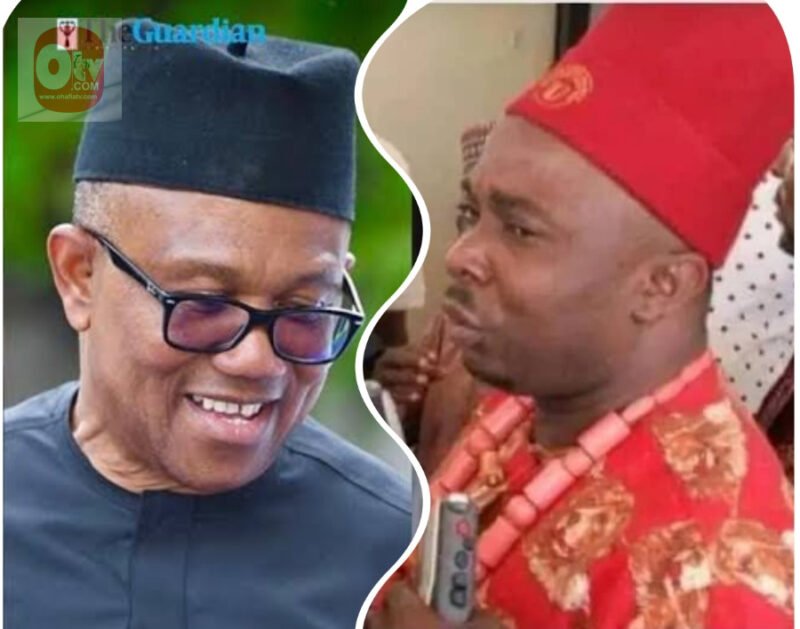Ohanaeze Says Igbo Presidency Not Achievable Under NDC, Advises Peter Obi To Reconsider 2027 Bid