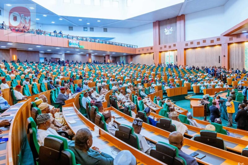 House of Representatives to Service Chiefs: Defeat Bandits and Secure Schools Now, or Resign