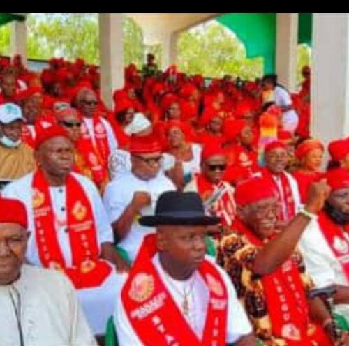Benin–Agbor–Asaba Expressway: Remain Calm, Umahi Will Execute Tinubu’s Directive With Speed — Ohanaeze Ndigbo
