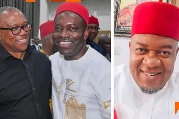 “The falcon must once again hear the falconer.” — Uche Nworah Calls on Igbo Elders to Step Into Growing Soludo–Peter Obi Drama