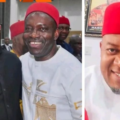“The falcon must once again hear the falconer.” — Uche Nworah Calls on Igbo Elders to Step Into Growing Soludo–Peter Obi Drama