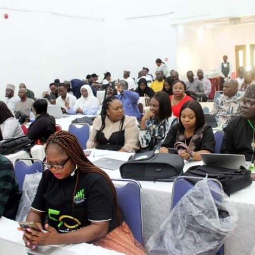 CISON 50th Anniversary Conference Continues In Abuja As Statisticians Focus On Professional Development