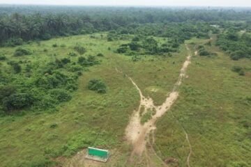Give Us Back Our Land, Owaza Residents Tell Otti Over Abandoned Industrial Park Project