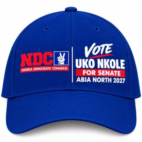 The Future Of Abia North Must Be Built On Action, Accountability, Purposeful Leadership
