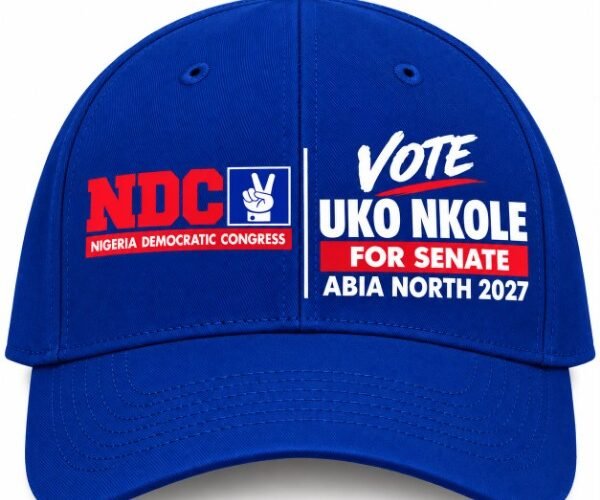 The Future Of Abia North Must Be Built On Action, Accountability, Purposeful Leadership